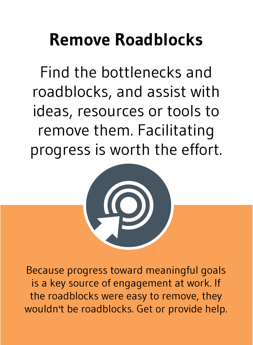Remove Roadblocks: Find the bottlenecks and roadblocks, and assist with ideas, resources or tools to remove them. Facilitating progress is worth the effort.