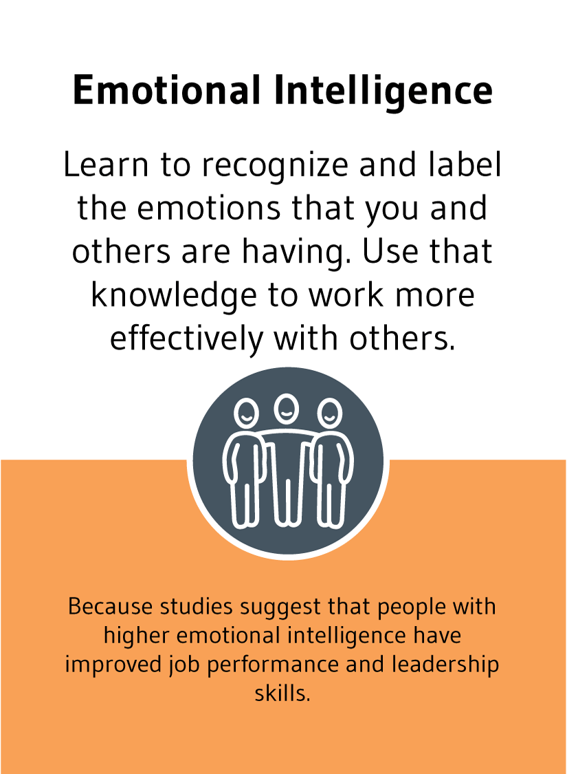 Emotional Intelligence: Learn to recognize and label the emotions that you and others are having. Use that knowledge to work more effectively with others.