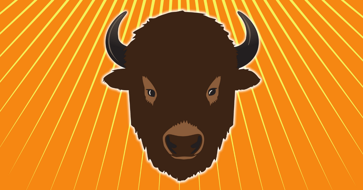 Image of a buffalo on an orange background from Buffalo: The Name Dropping Game