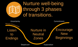 TransitionsOverview